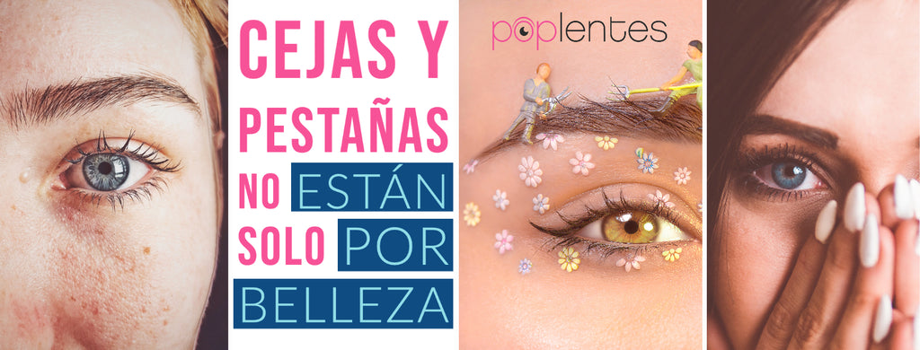 Cejas y Pestañas, no están solamente por Belleza